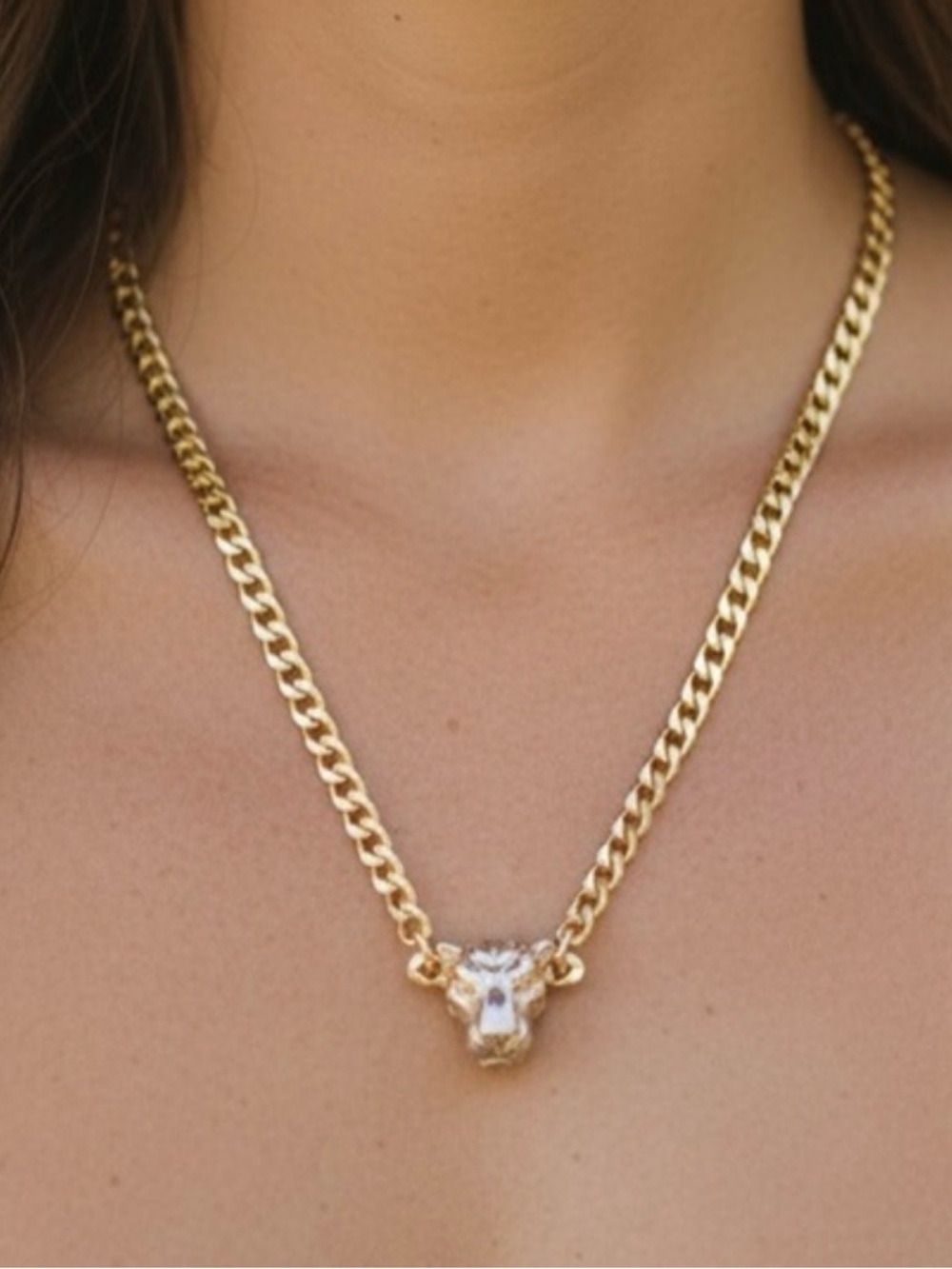 Gold-tone Lion Head Pendant Chain Necklace